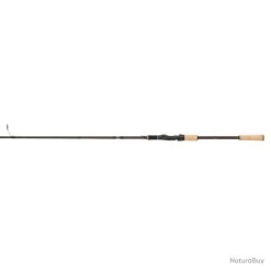 Canne Abu Garcia Diplomat X 100H 20-60G 5Pc Spin 3,04M