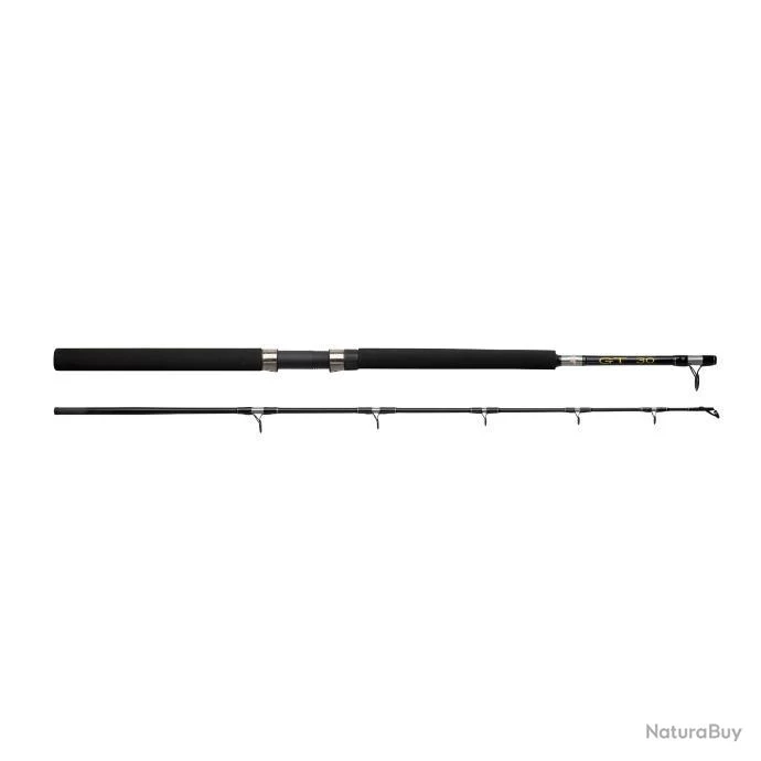 Ensemble Casting Abu Garcia Rod Gt 602 + 30LBs Boat 1 Ensemble Casting Abu Garcia Rod Gt 602 + 30LBs Boat