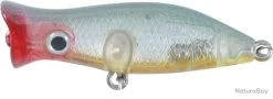 Leurre Halco Roosta Pop 45 PODDY