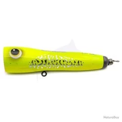 ASWB ReefsEDGE 80 G Lemon